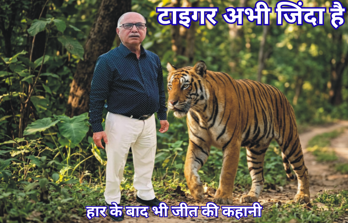 टाइगर अभी जिंदा है: हार के बाद भी जीत की कहानी